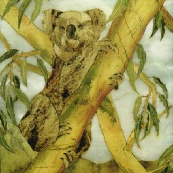 Коала
